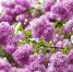 28 апреля - день работников скорой помощи - ГБУЗ ГБ г. Гая