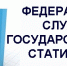 ПРАЗДНИЧНАЯ ДАТА СКВОЗЬ ПРИЗМУ СТАТИСТИКИ - Гайский городской округ