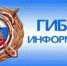 Оформить извещение о ДТП теперь можно без вызова полиции - Гайский городской округ