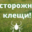 Профилактика инфекций, передающихся клещами - Гайский городской округ