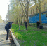 Гайчане присоединились к Всероссийскому субботнику - Гайский городской округ