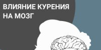Врачи предупреждают: «Курение ускоряет старение мозга!» - Гайский городской округ