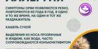 Что важно, если в семье есть аллергик - Гайский городской округ