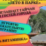 Лето приглашает гайчан в парк! - Гайский городской округ