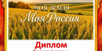 Подведены итоги Всероссийского патриотического фестиваля «Моя земля, моя Россия» - Гайский городской округ