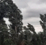 Оперативное предупреждение - Гайский городской округ