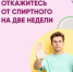 Устройте отпуск от алкоголя - Гайский городской округ