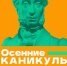Центр народного творчества приглашает культурно провести осенние каникулы по Пушкинской карте - Гайский городской округ