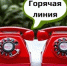 С 24 ноября по 5 декабря проводится «Горячая линия» для населения по вопросам профилактики ВИЧ-инфекции - Гайский городской округ