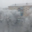 Оперативное предупреждение - Гайский городской округ