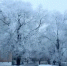 Фотографии зимнего Гая - Гайский городской округ