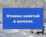 В Ириклинской школе отменены занятия для 1-4 классов