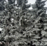 Оперативное предупреждение! - Гайский городской округ