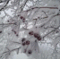 Оперативное предупреждение - Гайский городской округ