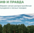 Каждой весной до 90 % лесных пожаров происходит по вине человека - Гайский городской округ